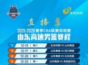  东野十二个纵队编制 