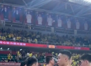 河北男篮主场告捷，球队实力逐渐显现